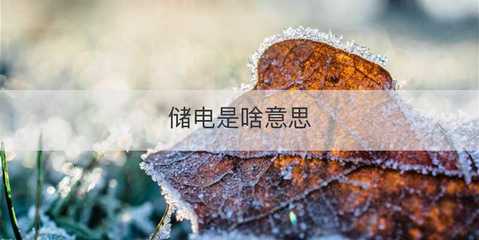 儲(chǔ)電與電瓶電力恢復(fù)儀 原理、作用與應(yīng)用